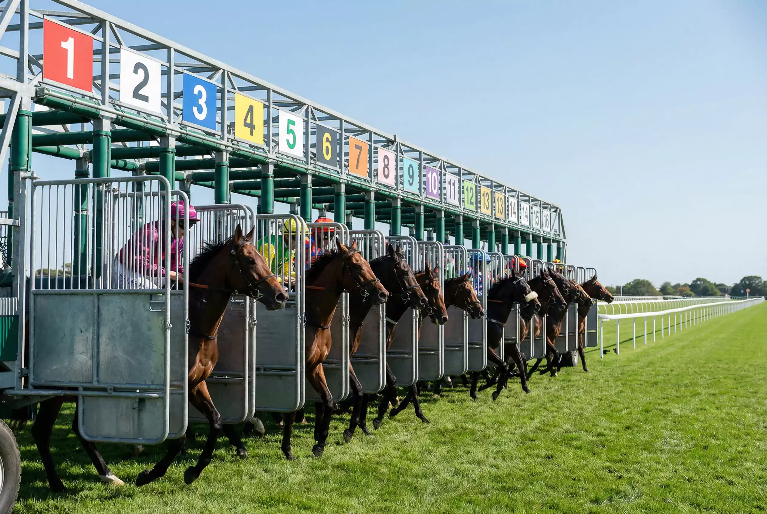 Starting stalls at a Flat racing course with numbered positions