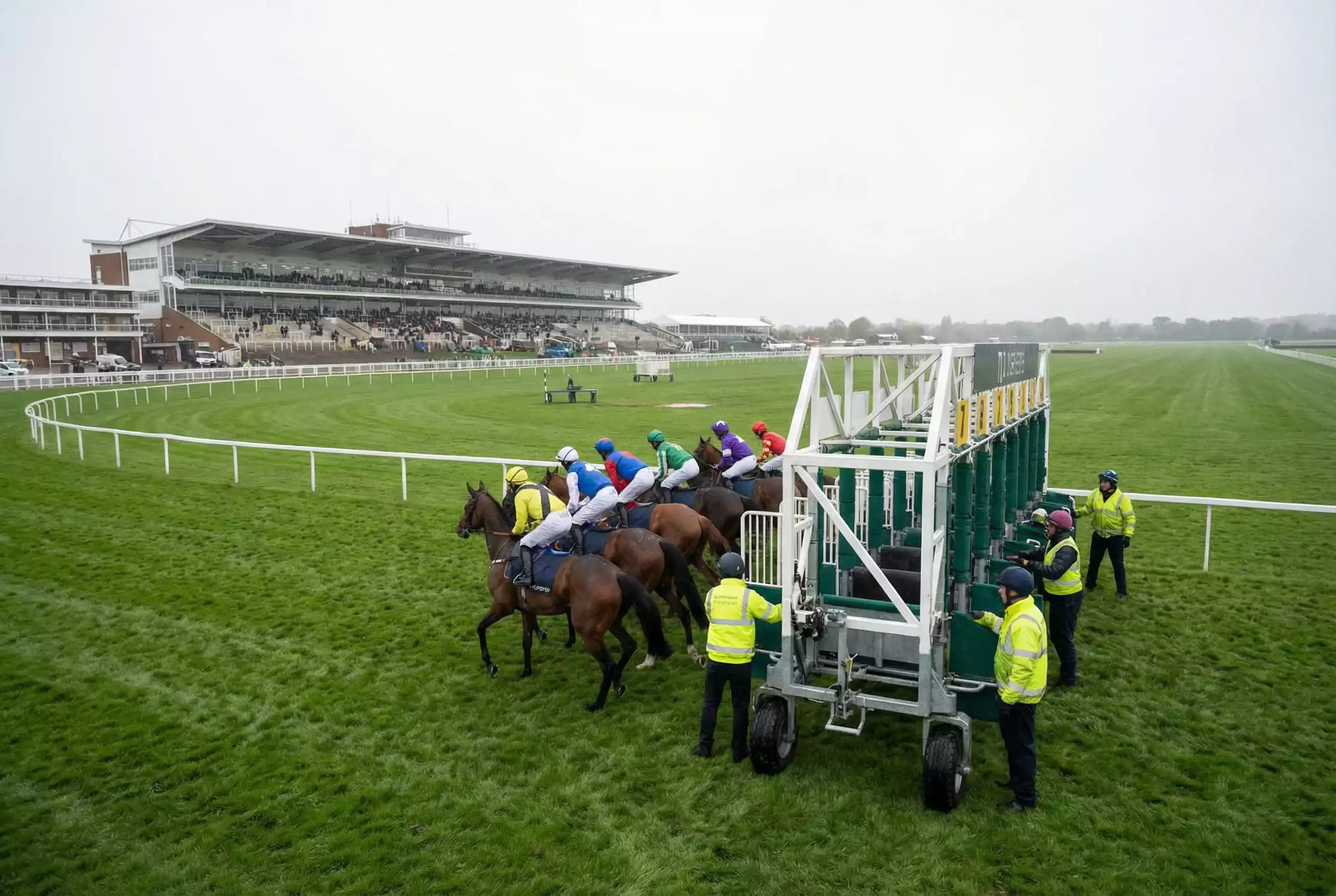 Small group of racehorses lining up at the starting gate
