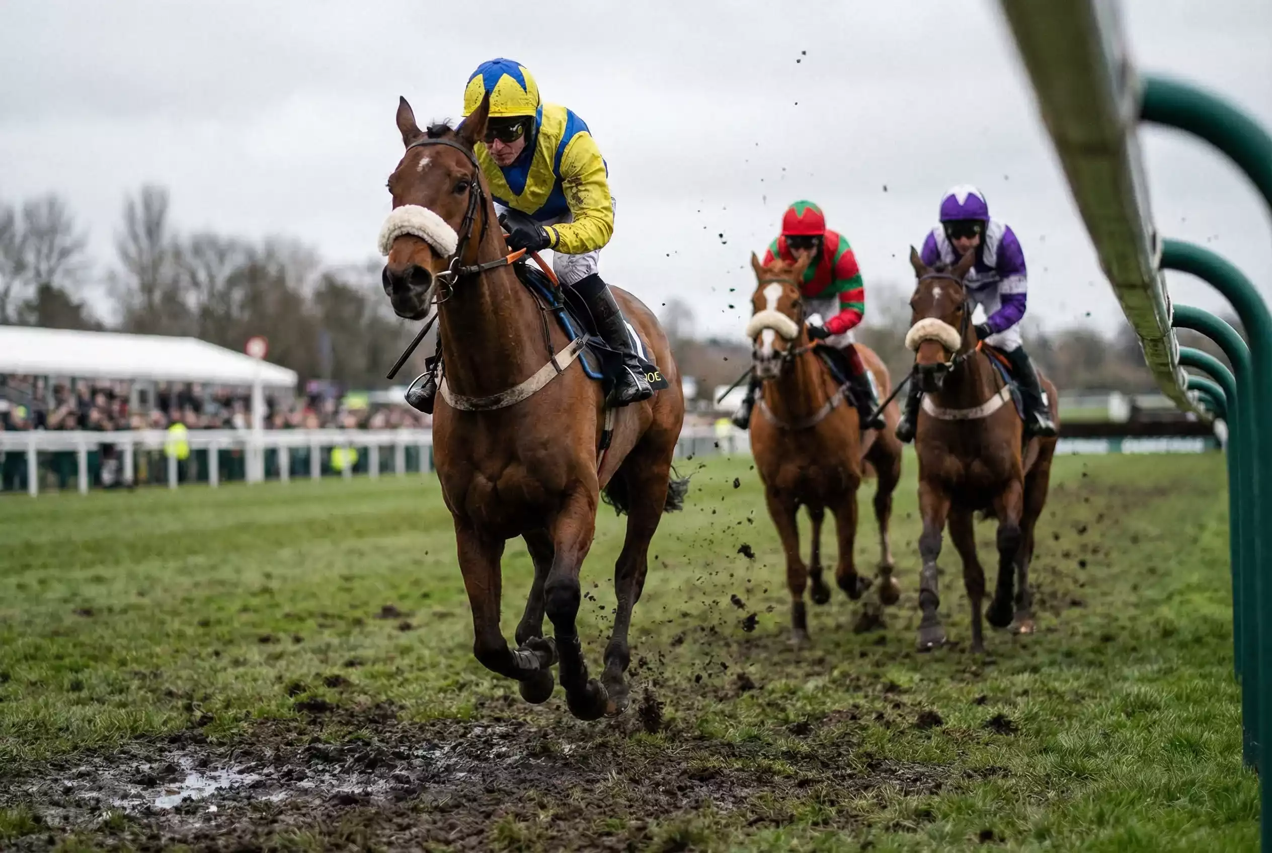 Horses racing on soft ground with mud splashing at a British jump meeting