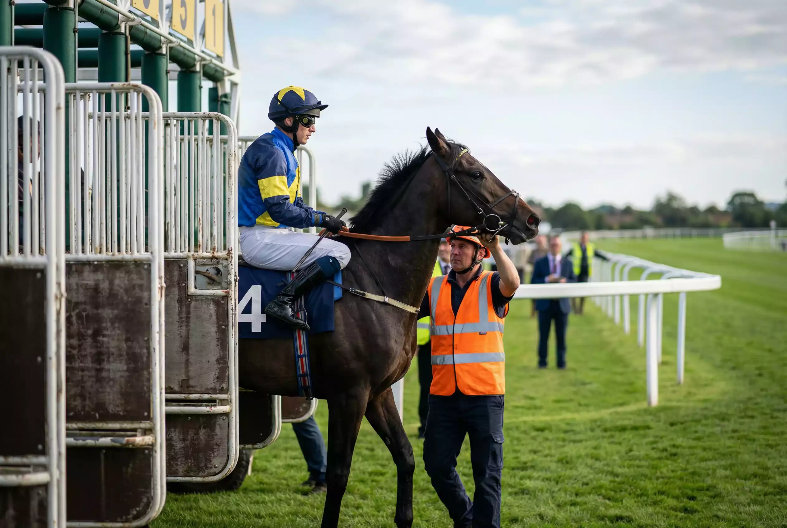 Horse refusing to enter starting stalls at a racecourse