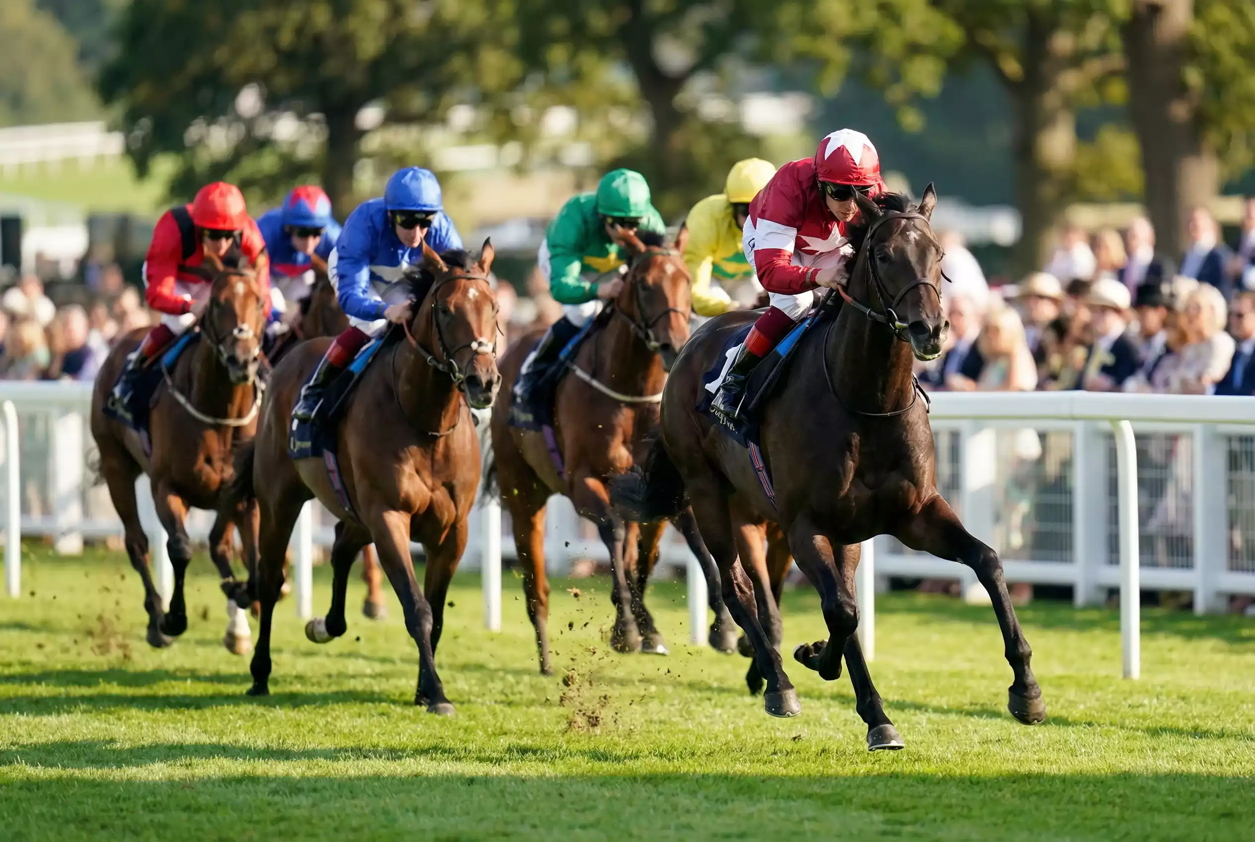 Horses racing in a pack showing pace dynamics on the track