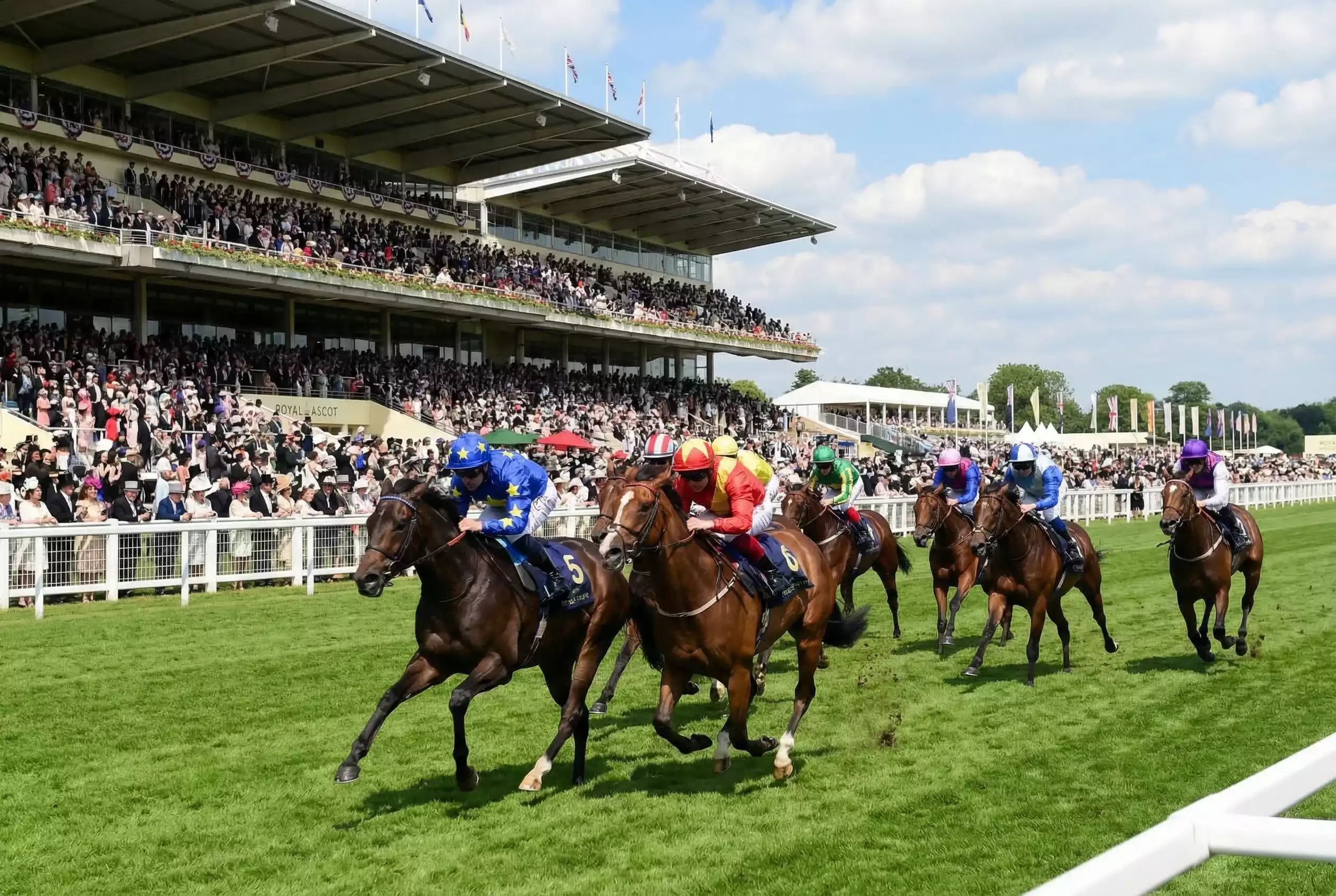 Royal Ascot non runners — Flat racing horses on the straight mile course