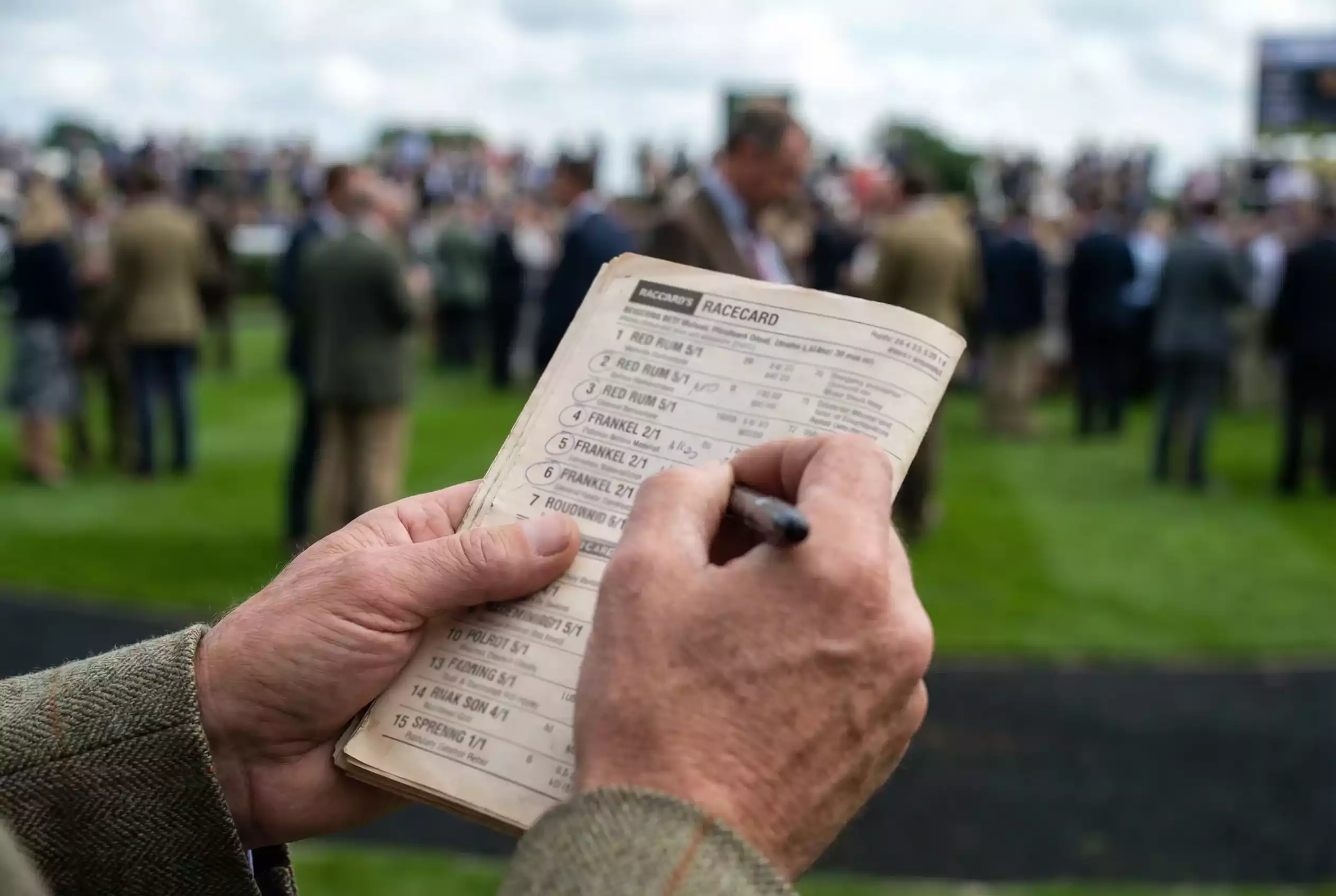 Punter reviewing horse racing odds on a betting slip at the racecourse